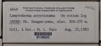 Image Associated With the Occurence